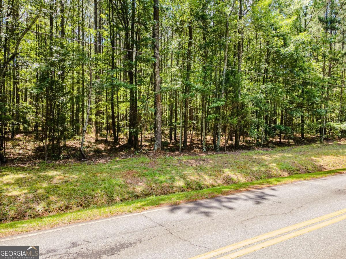 unimproved land for sale at 0 Browning Shoals Road, Social Circle, GA 30025 — photo 7