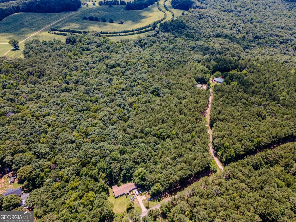 unimproved land for sale at 0 Browning Shoals Road, Social Circle, GA 30025 — photo 3