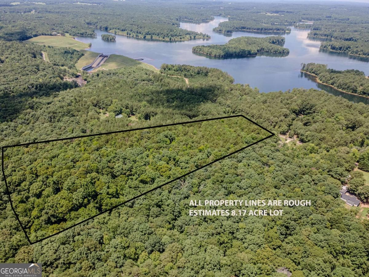 unimproved land for sale at 0 Browning Shoals Road, Social Circle, GA 30025 — photo 1 of 9