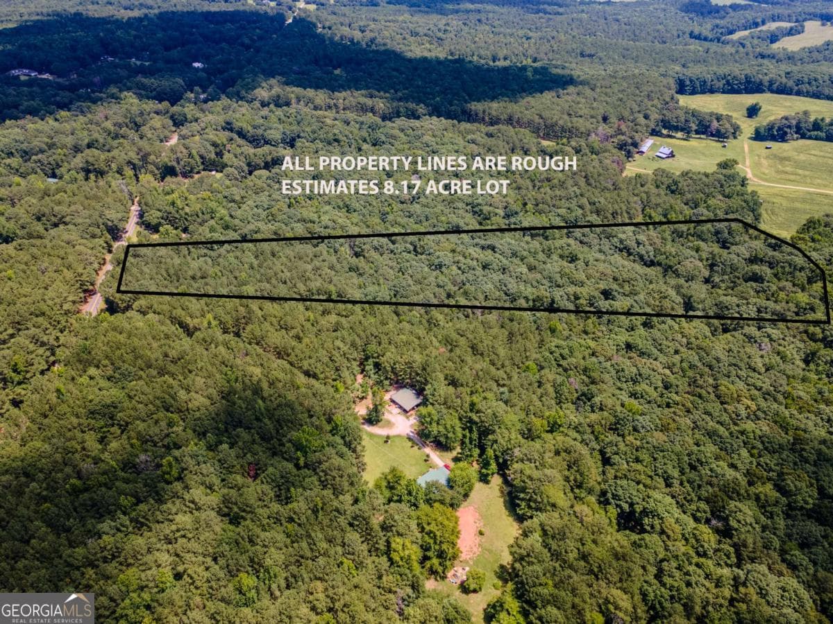 unimproved land for sale at 0 Browning Shoals Road, Social Circle, GA 30025 — photo 5