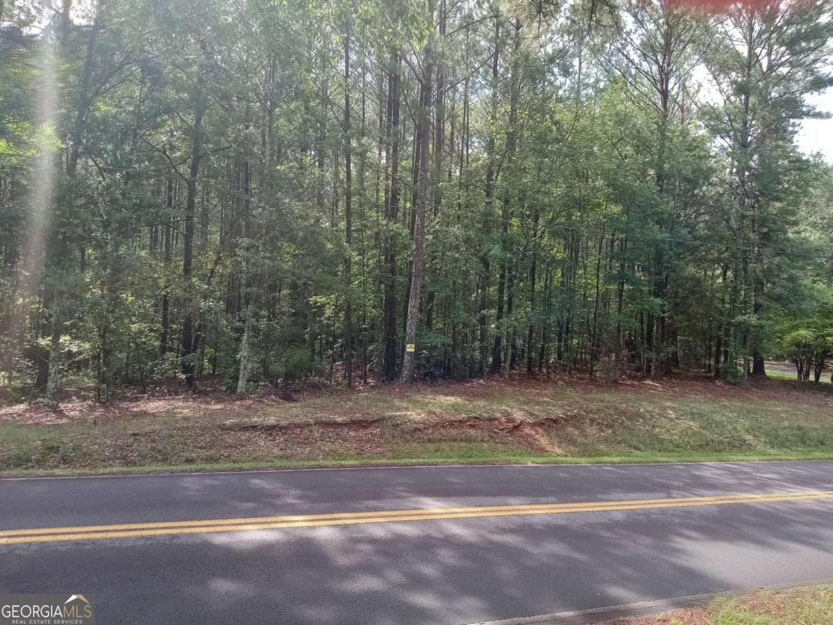 unimproved land for sale at 0 Browning Shoals Road, Social Circle, GA 30025 — photo 9