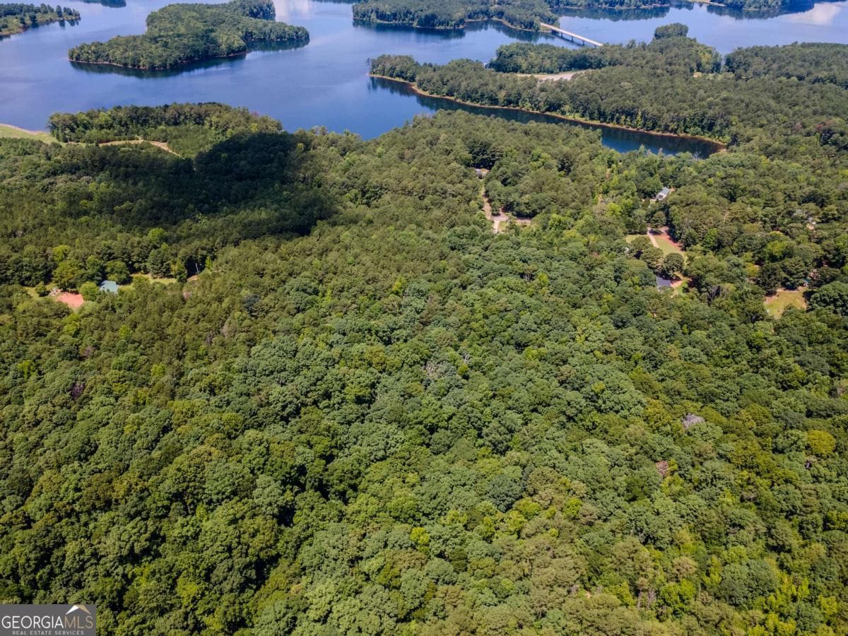 unimproved land for sale at 0 Browning Shoals Road, Social Circle, GA 30025 — photo 8