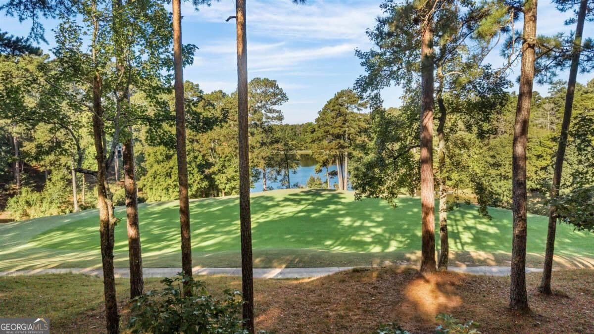 4 bedroom, 4 bathroom, 3,768 sq ft single family residence for sale at 1181 Shoulder Bone Circle, Greensboro, GA 30642 — photo 2