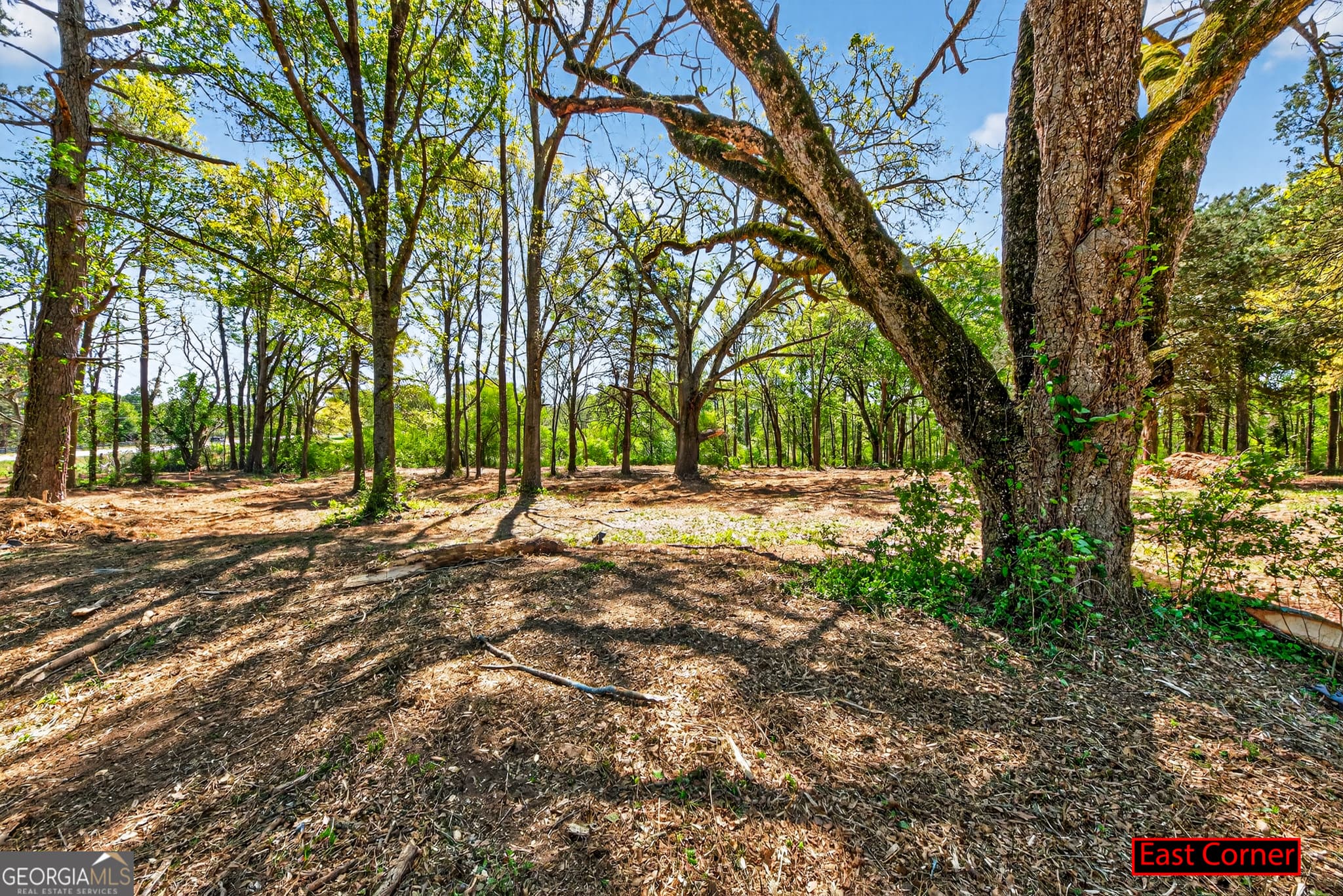 agriculture for sale at 2330 Greensboro Highway, Watkinsville, GA 30677
