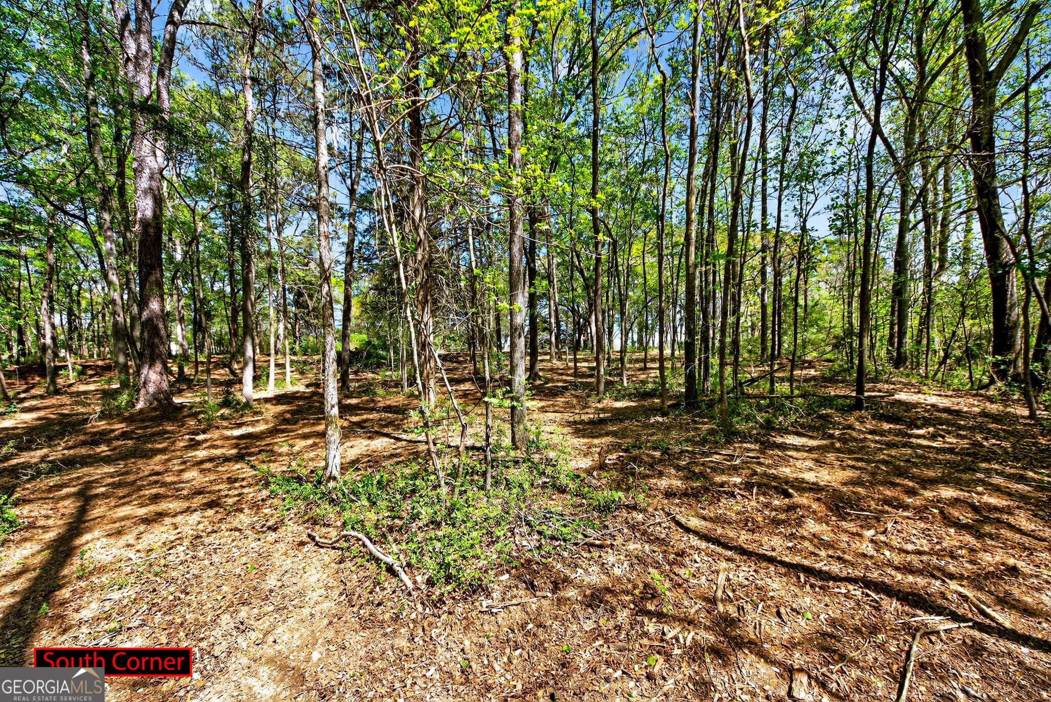 agriculture for sale at 2330 Greensboro Highway, Watkinsville, GA 30677 — photo 10