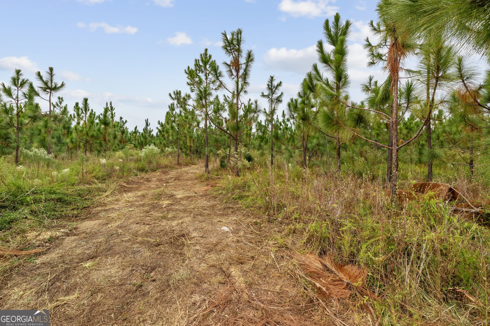 unimproved land for sale at 0 Highway 297 TRACT 3, Soperton, GA 30457 — photo 2