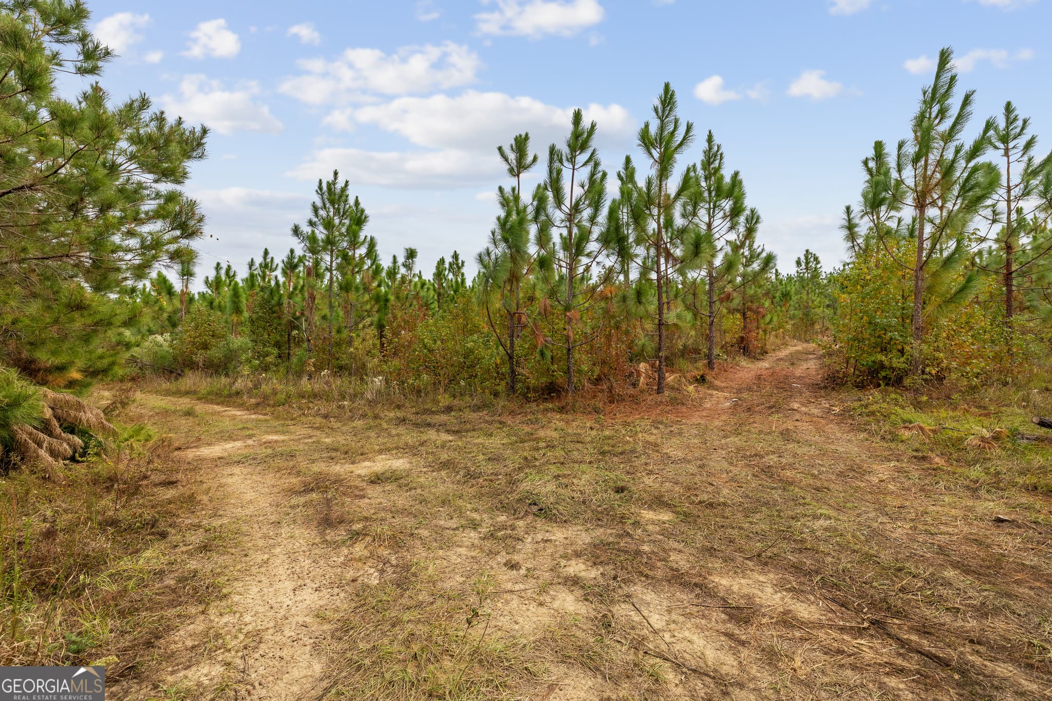 unimproved land for sale at 0 Highway 297 TRACT 3, Soperton, GA 30457 — photo 6