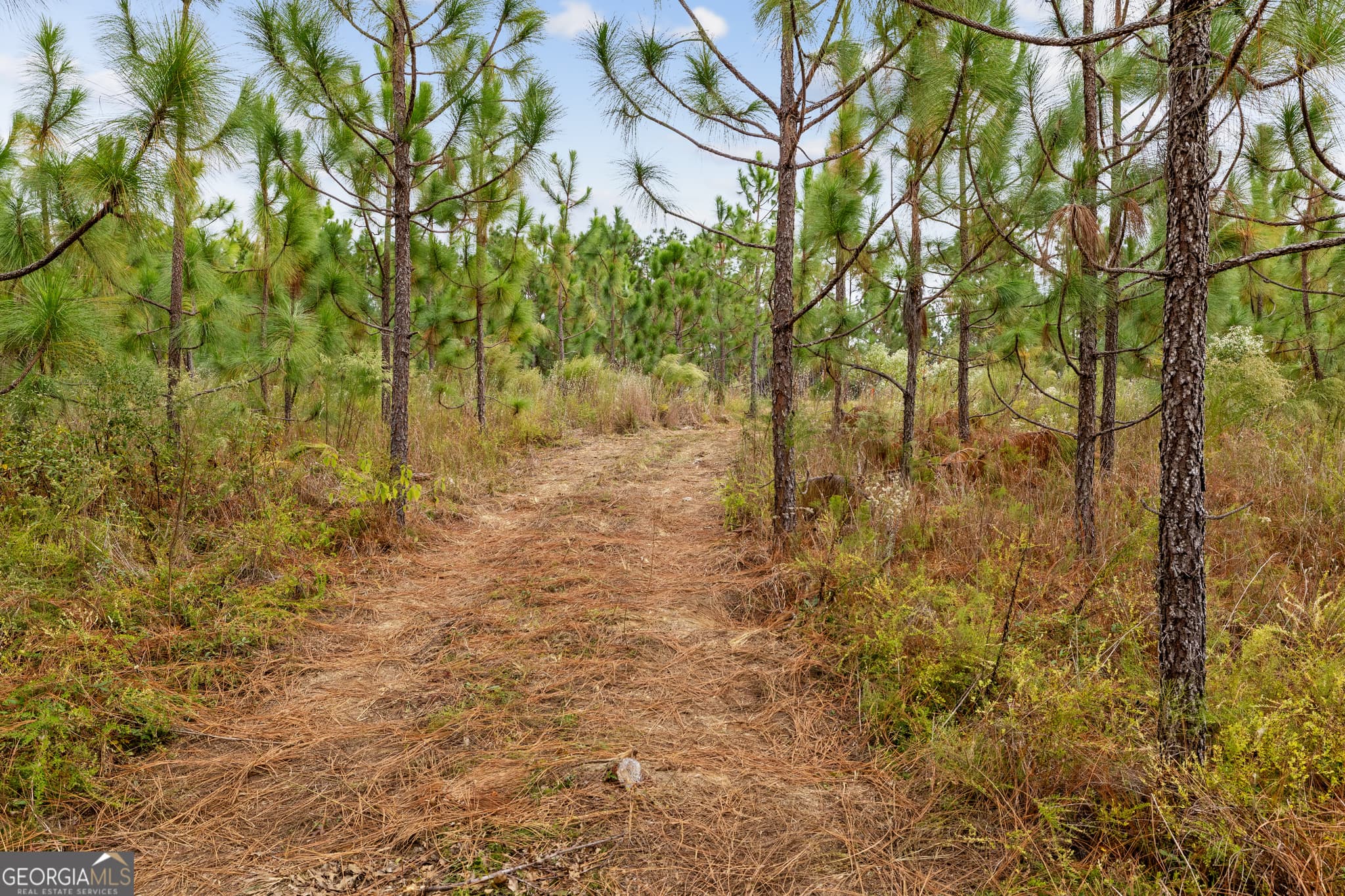 unimproved land for sale at 0 Highway 297 TRACT 3, Soperton, GA 30457 — photo 5