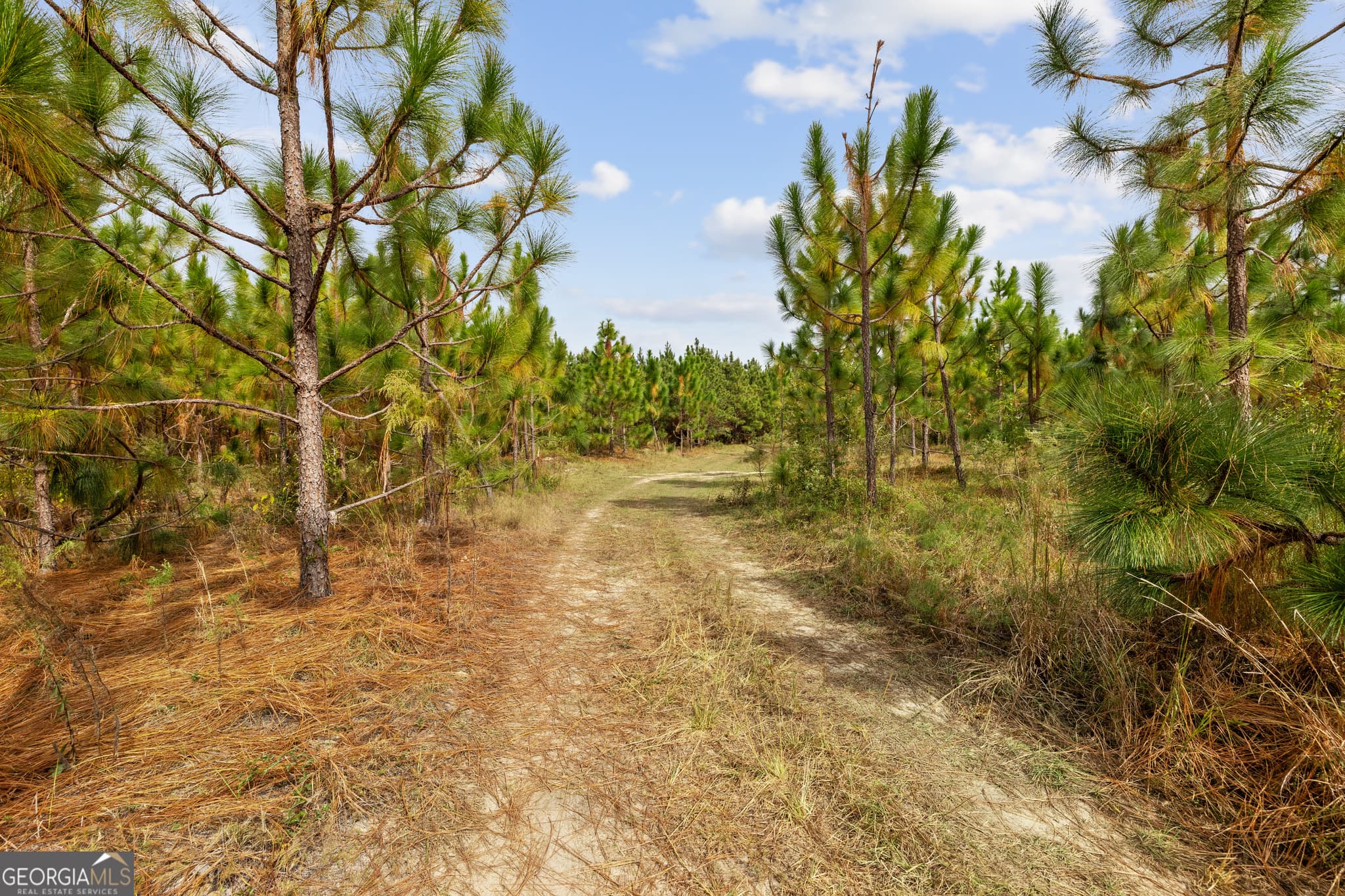 unimproved land for sale at 0 Highway 297 TRACT 3, Soperton, GA 30457 — photo 9