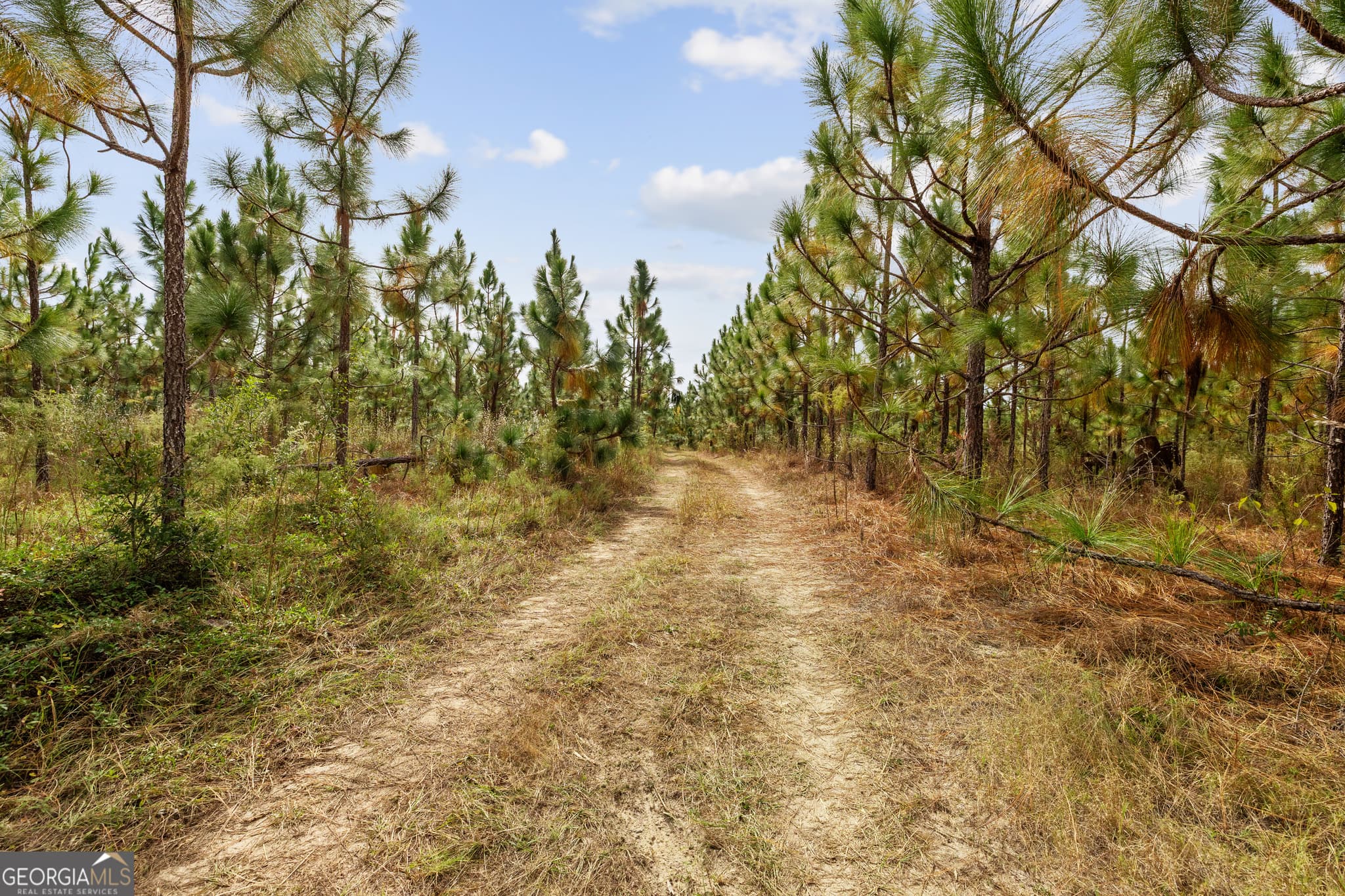 unimproved land for sale at 0 Highway 297 TRACT 3, Soperton, GA 30457 — photo 8