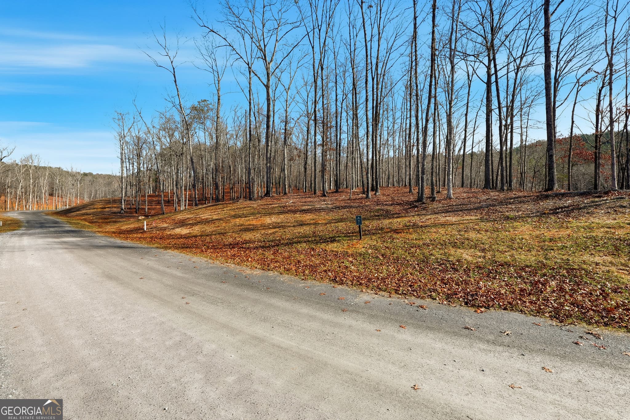 residential lot for sale at LOT 7 Springfield Parkway, Ellijay, GA 30540 — photo 6