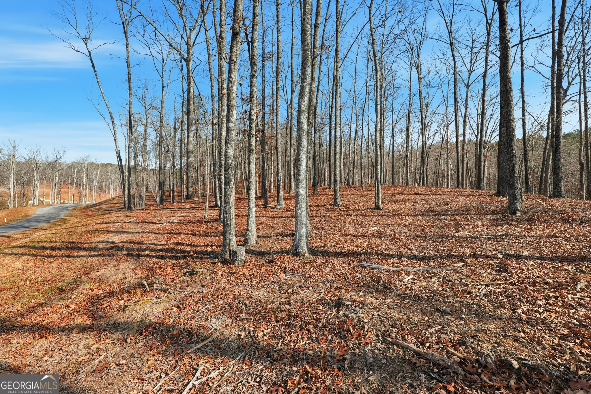 residential lot for sale at LOT 7 Springfield Parkway, Ellijay, GA 30540 — photo 7