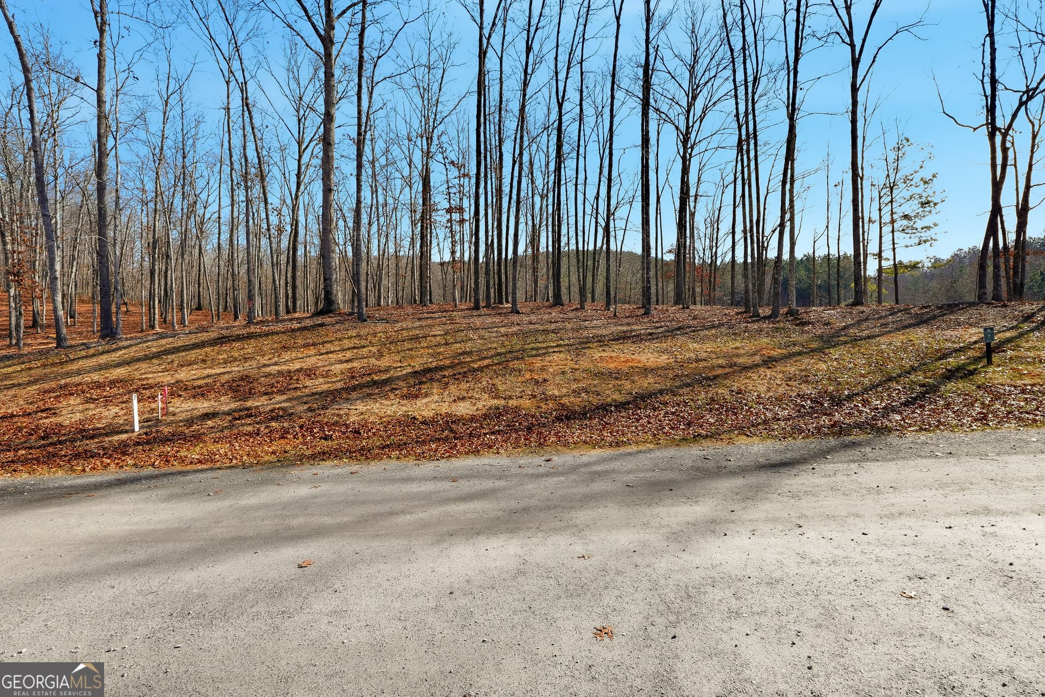 residential lot for sale at LOT 7 Springfield Parkway, Ellijay, GA 30540 — photo 5