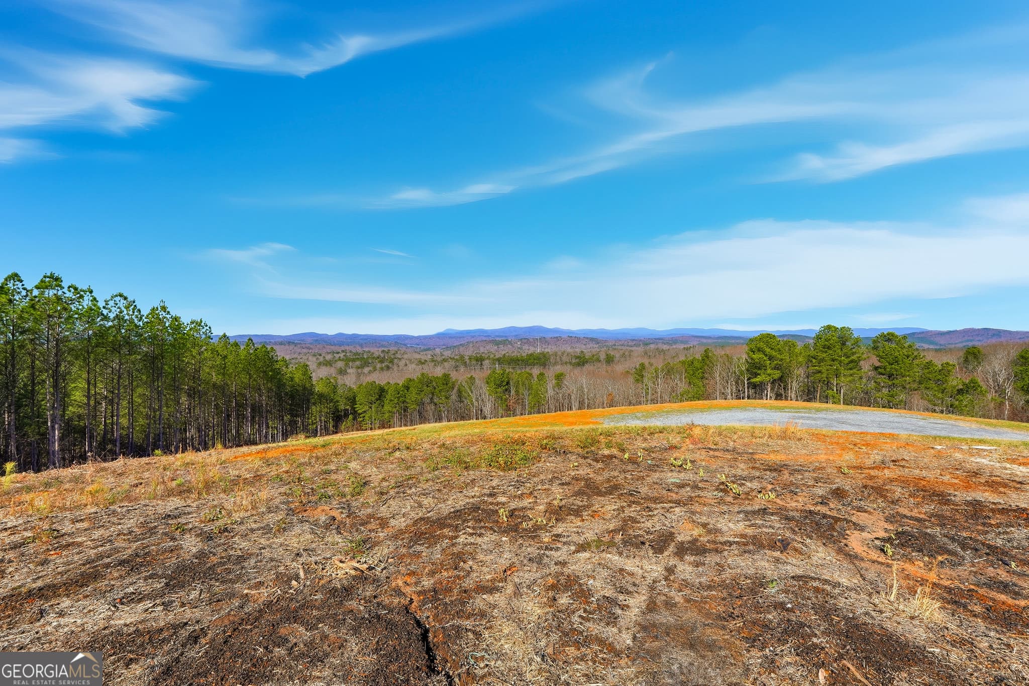 residential lot for sale at LOT 7 Springfield Parkway, Ellijay, GA 30540 — photo 9