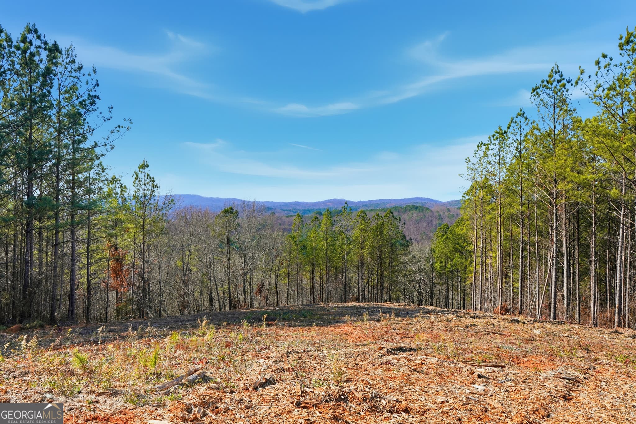 residential lot for sale at LOT 7 Springfield Parkway, Ellijay, GA 30540 — photo 10