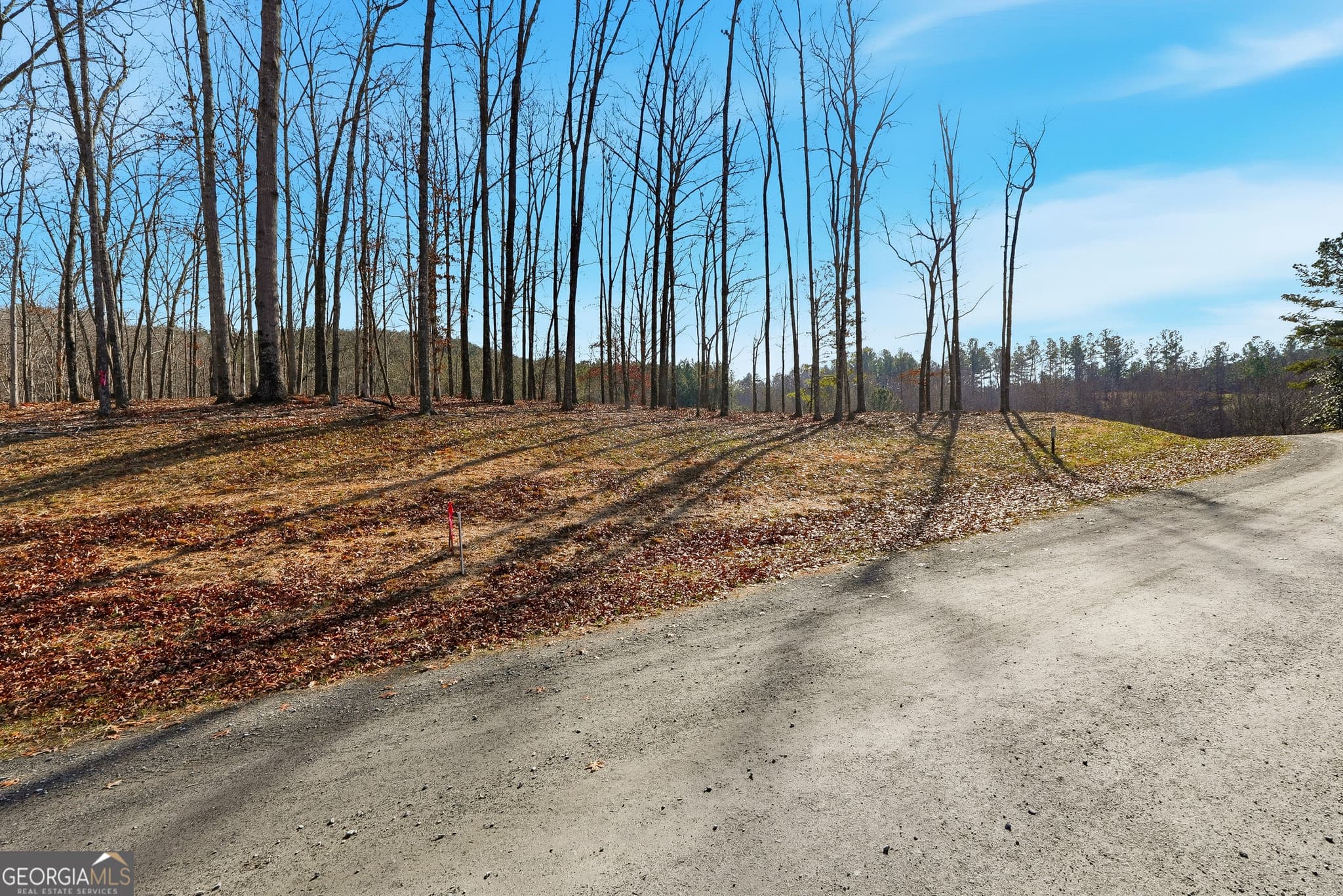 residential lot for sale at LOT 7 Springfield Parkway, Ellijay, GA 30540 — photo 4
