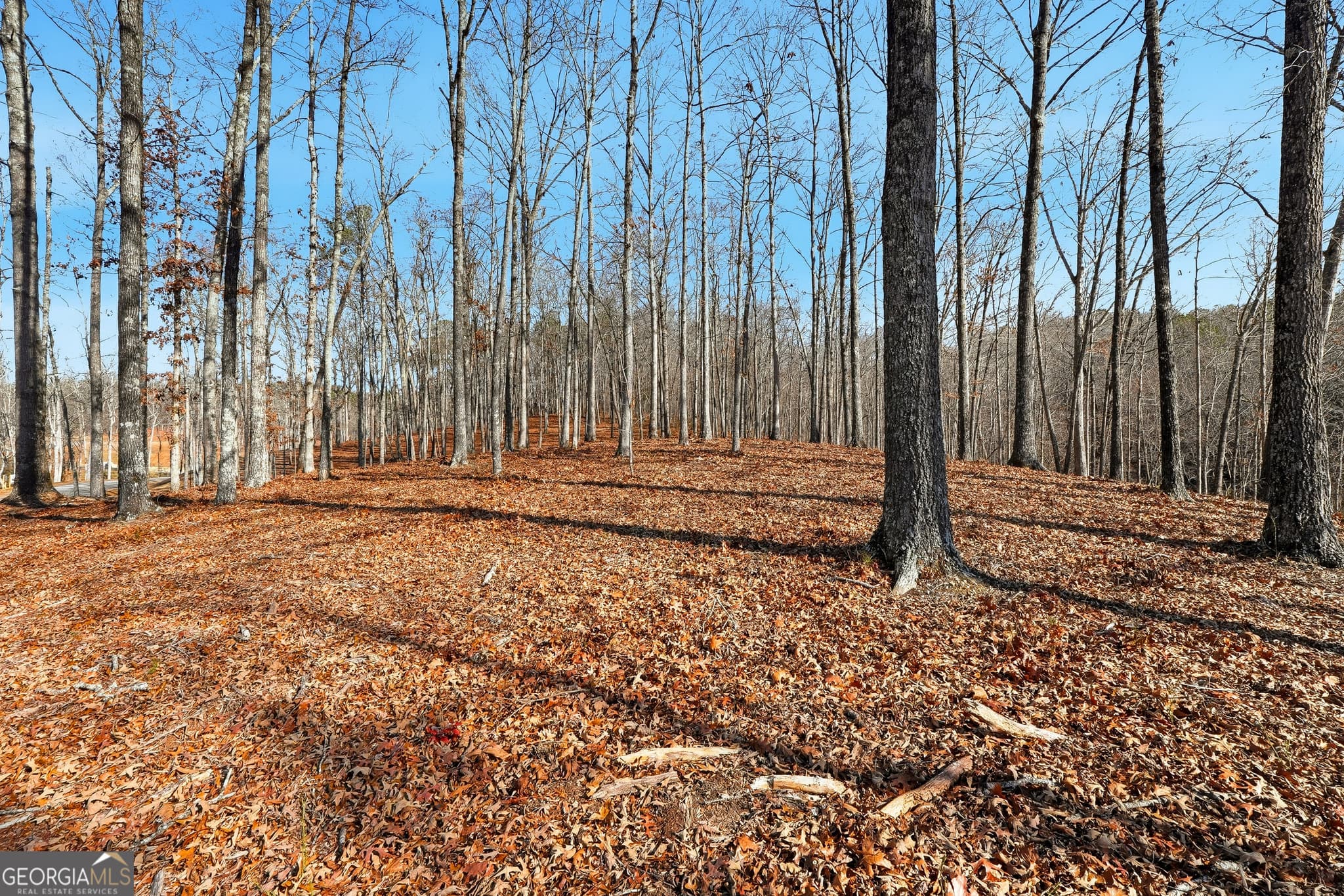 residential lot for sale at LOT 7 Springfield Parkway, Ellijay, GA 30540 — photo 8
