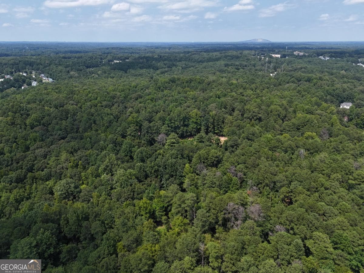 unimproved land for sale at 3961 Panola Road, Lithonia, GA 30038 — photo 6