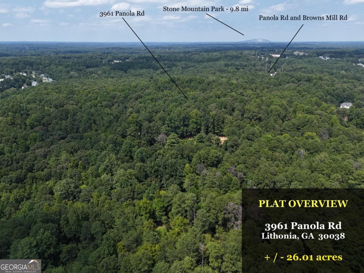 unimproved land for sale at 3961 Panola Road, Lithonia, GA 30038 — photo 5
