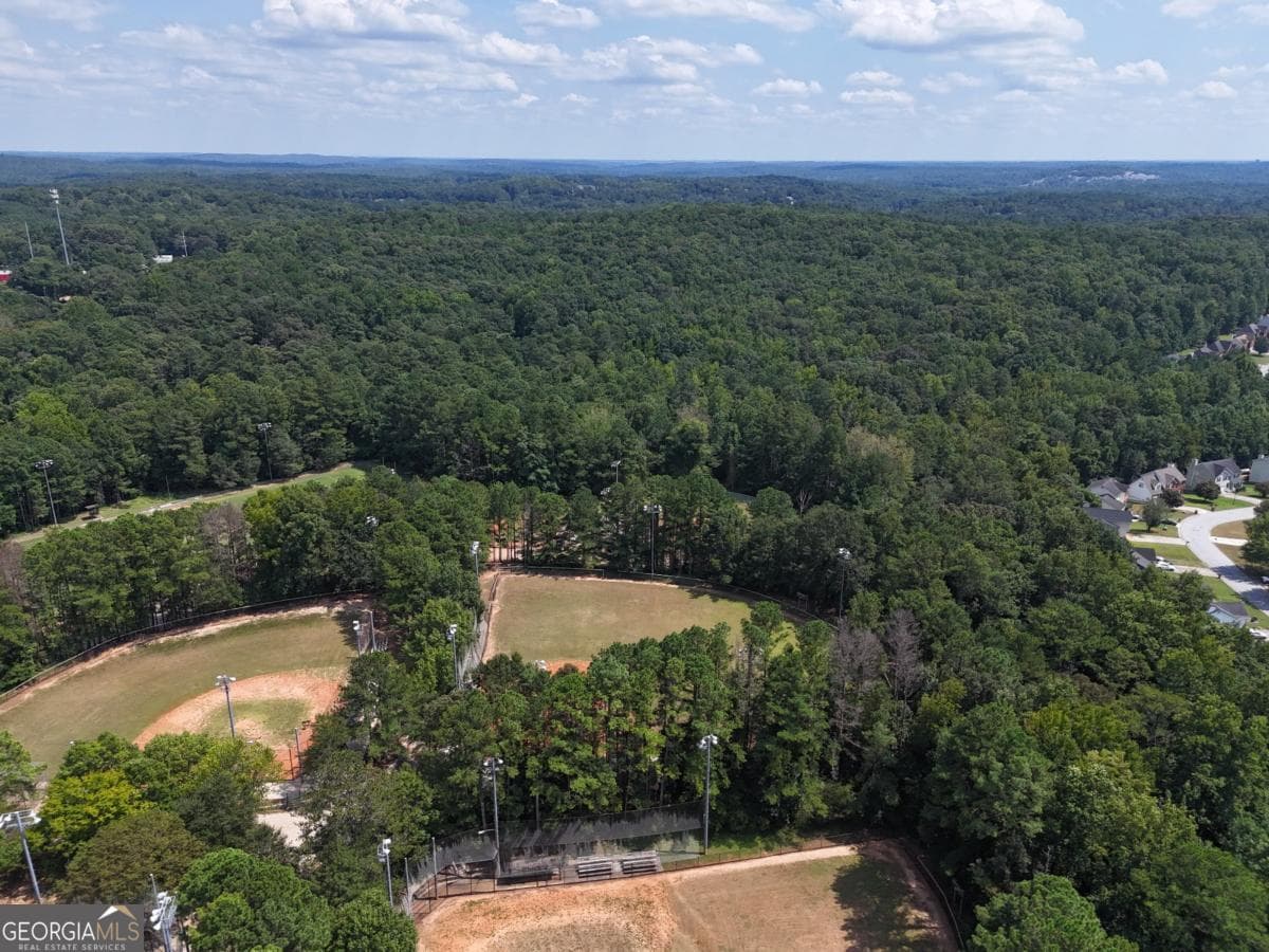 unimproved land for sale at 3961 Panola Road, Lithonia, GA 30038 — photo 10