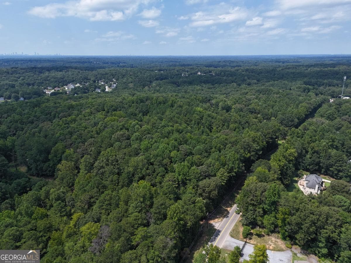 unimproved land for sale at 3961 Panola Road, Lithonia, GA 30038 — photo 4