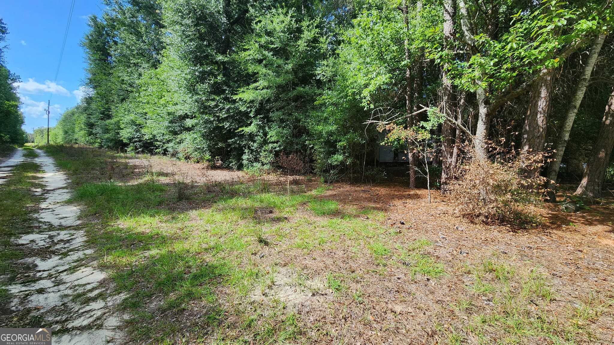 residential lot for sale at 0 Martin Way, Waynesboro, GA 30830 — photo 2