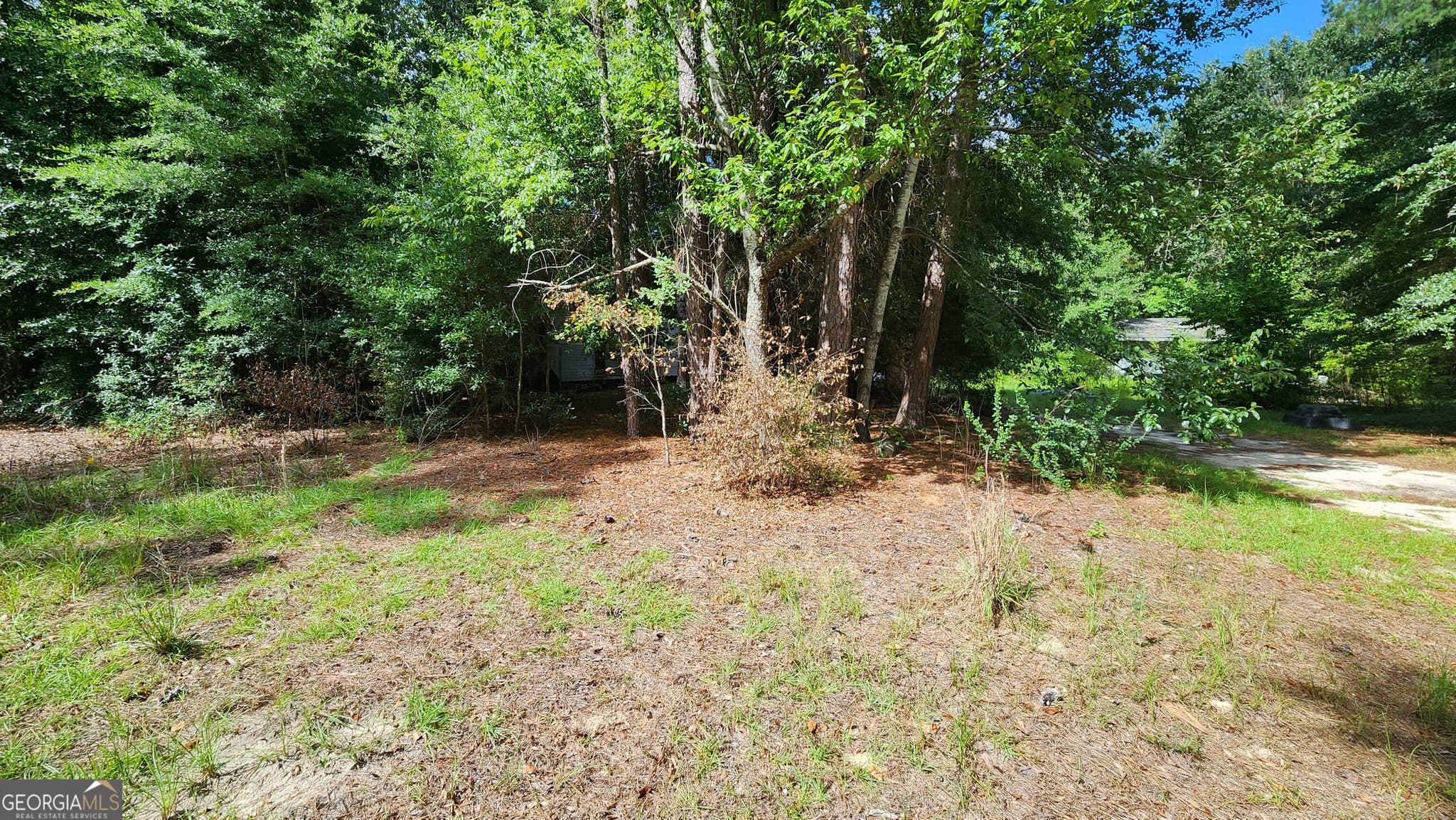 residential lot for sale at 0 Martin Way, Waynesboro, GA 30830 — photo 3