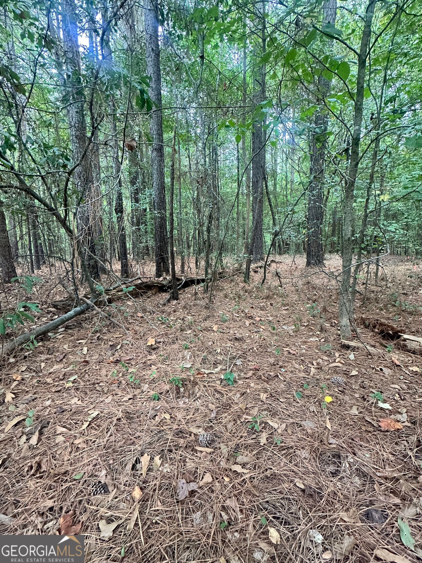 residential lot for sale at 1521 Cordele Road, Bowman, GA 30624 — photo 2