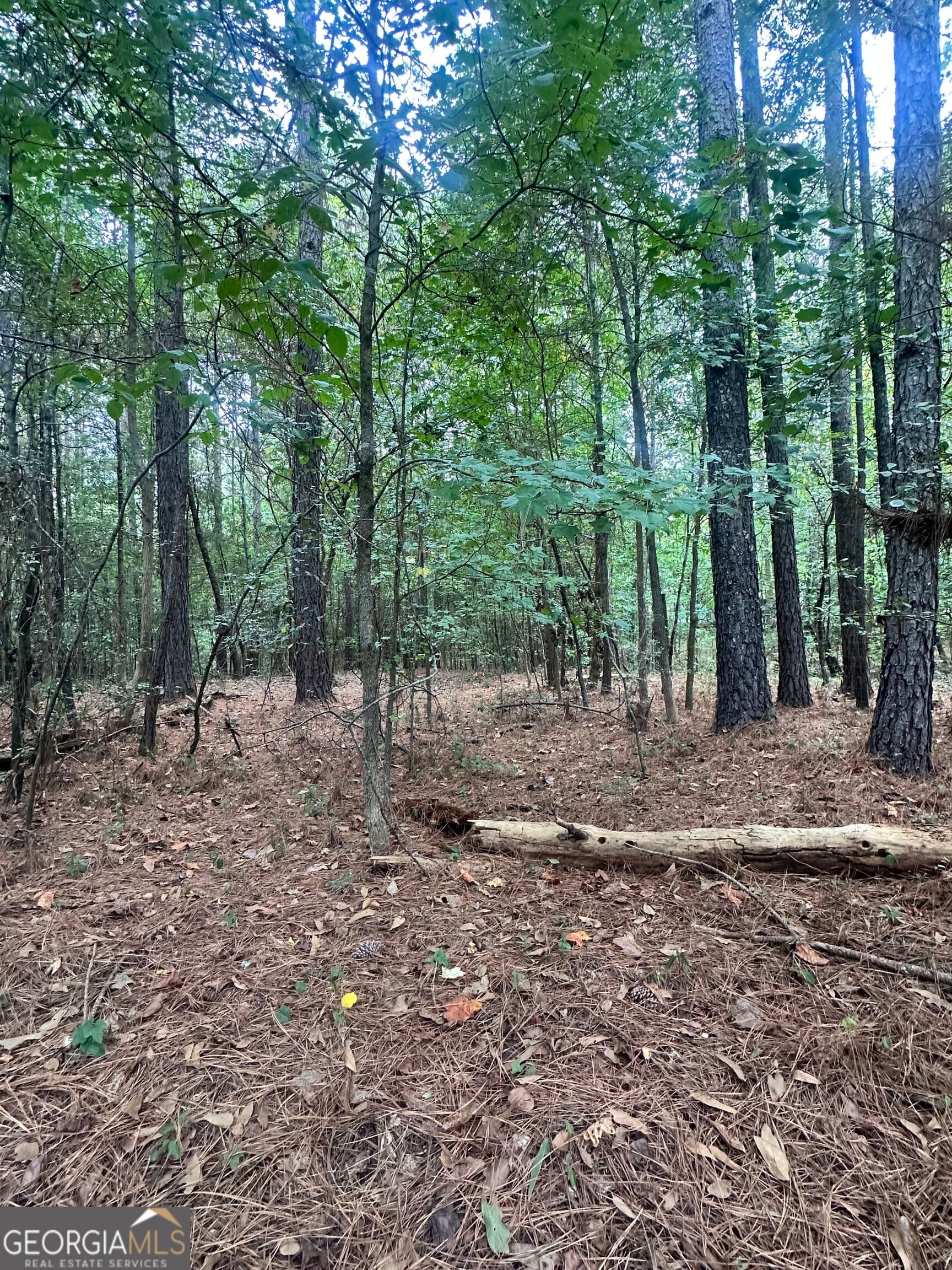 residential lot for sale at 1521 Cordele Road, Bowman, GA 30624 — photo 3