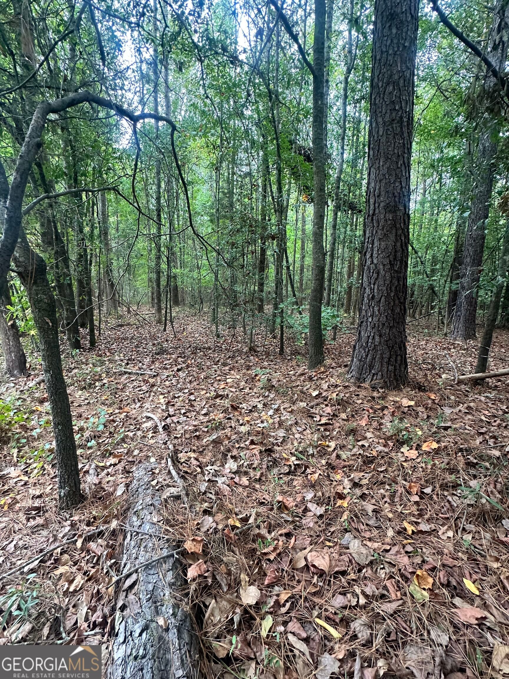 residential lot for sale at 1521 Cordele Road, Bowman, GA 30624 — photo 4