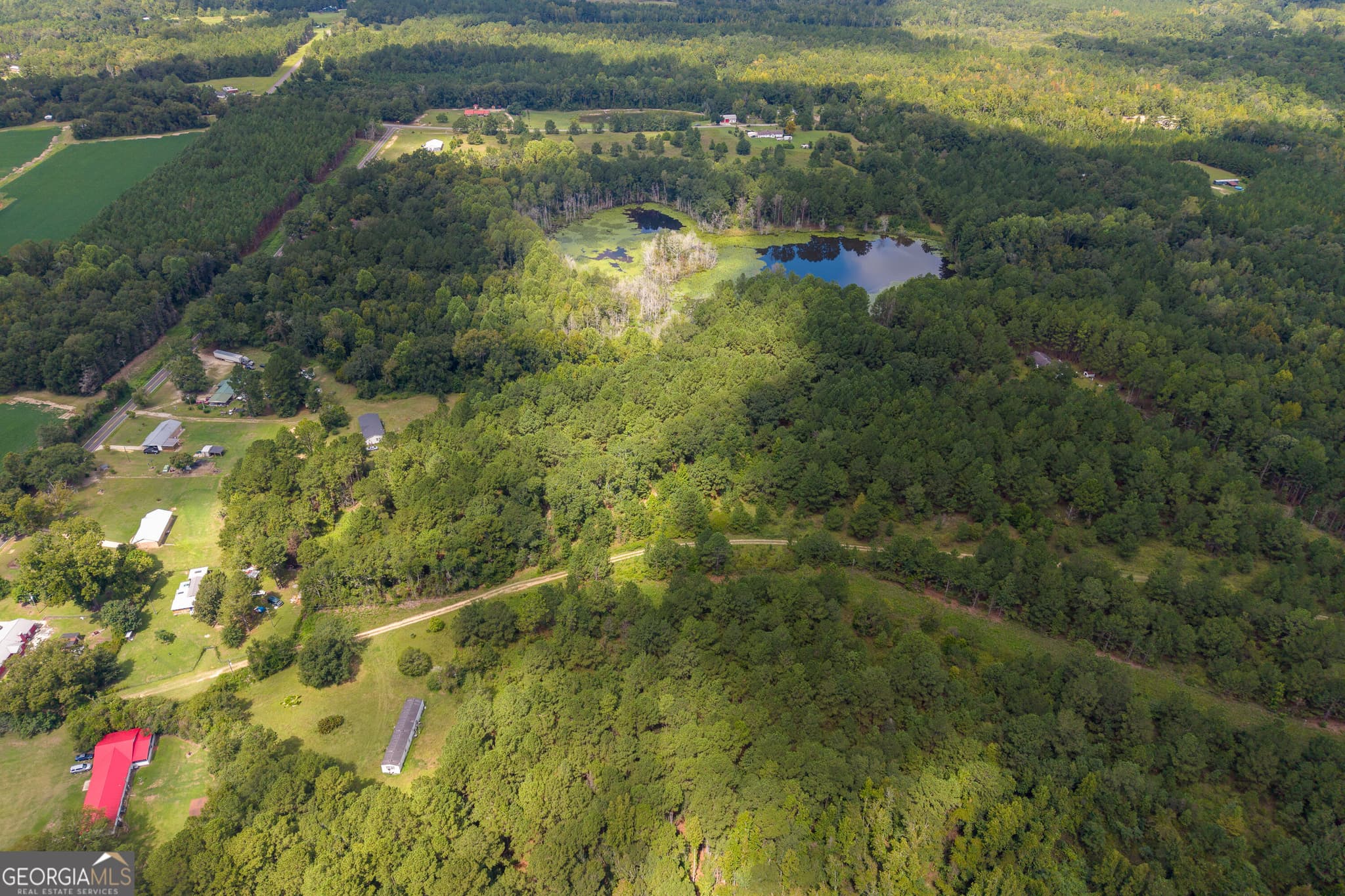 agriculture for sale at AC Warren Burns Drive, Sylvania, GA 30467 — photo 7