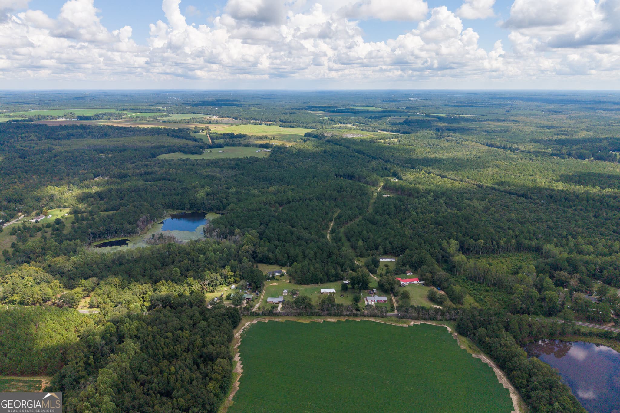 agriculture for sale at AC Warren Burns Drive, Sylvania, GA 30467 — photo 3
