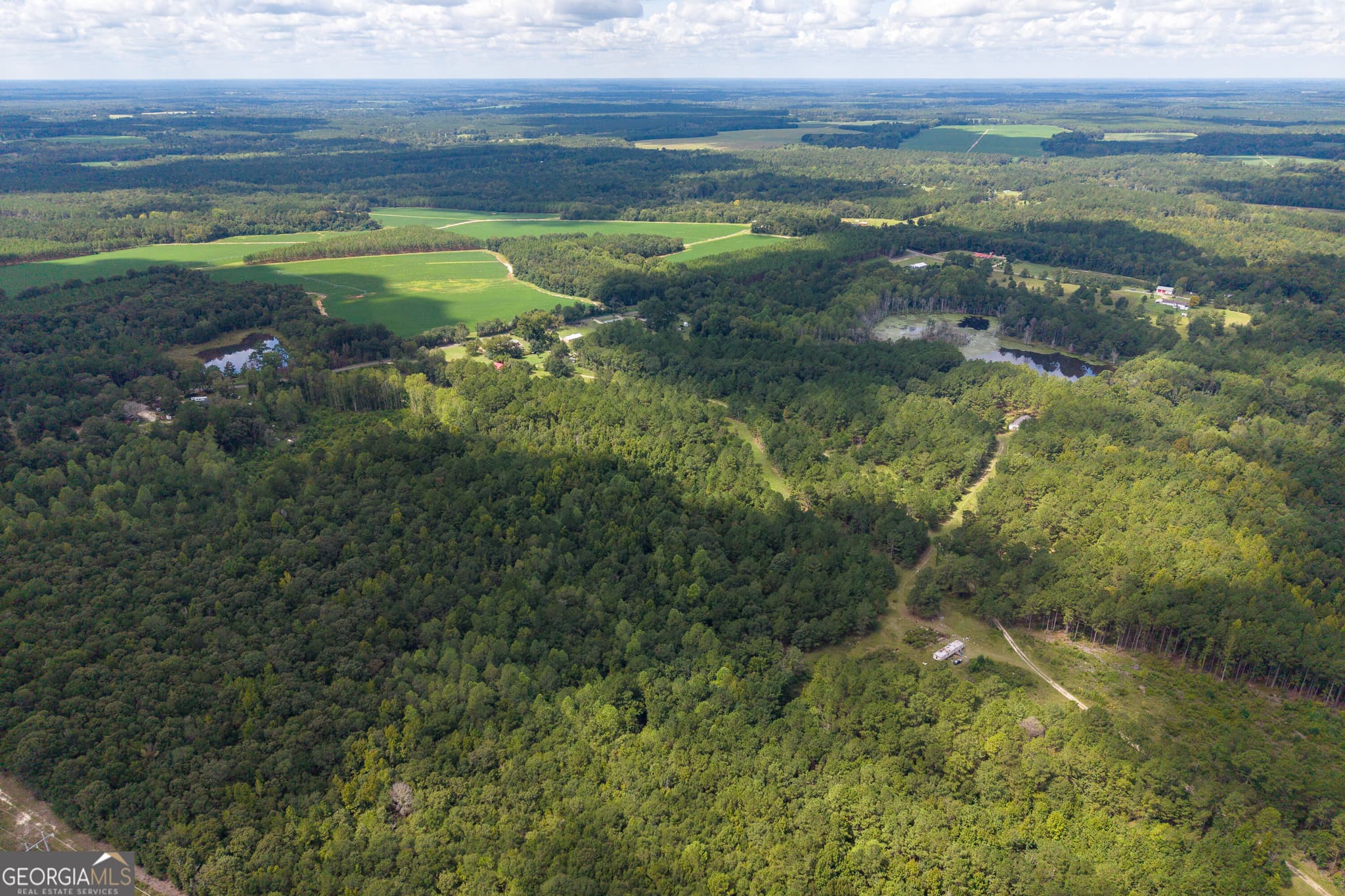 agriculture for sale at AC Warren Burns Drive, Sylvania, GA 30467 — photo 9