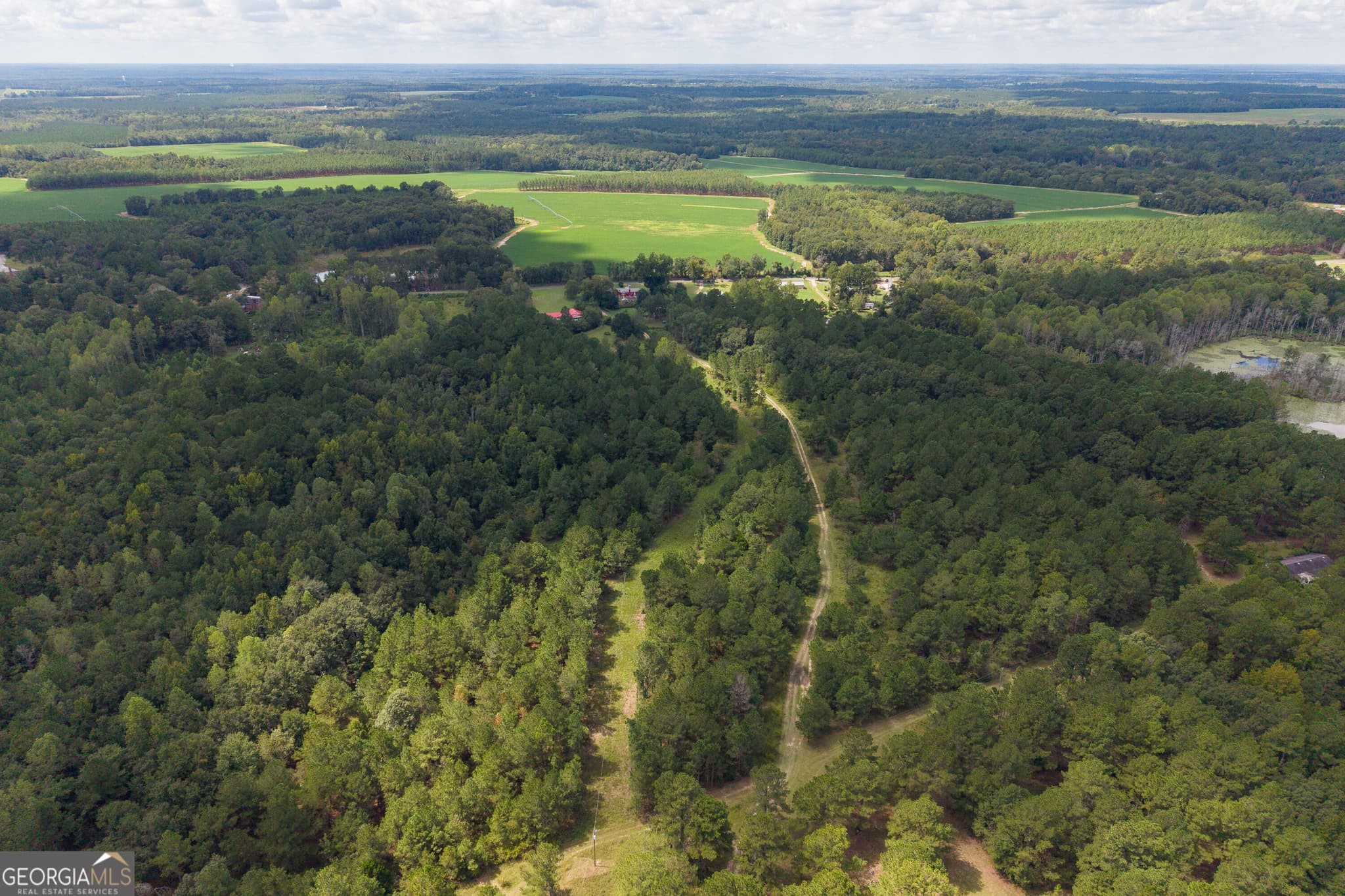 agriculture for sale at AC Warren Burns Drive, Sylvania, GA 30467 — photo 10