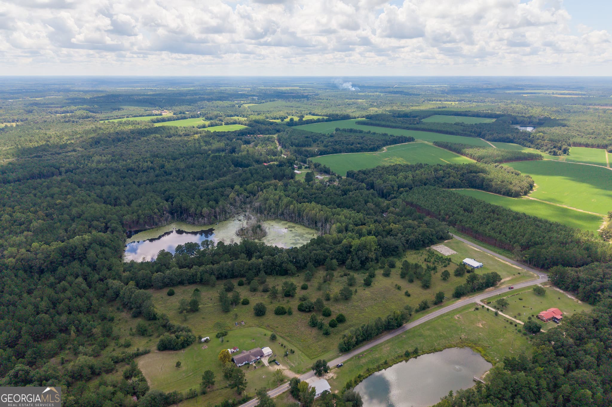 agriculture for sale at AC Warren Burns Drive, Sylvania, GA 30467 — photo 4
