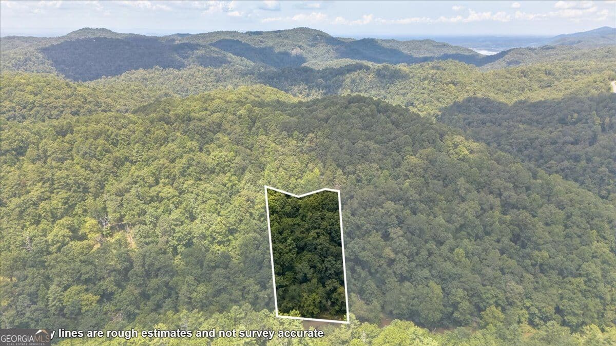 residential lot for sale at 0 Elk Trail, Talking Rock, GA 30175 — photo 2