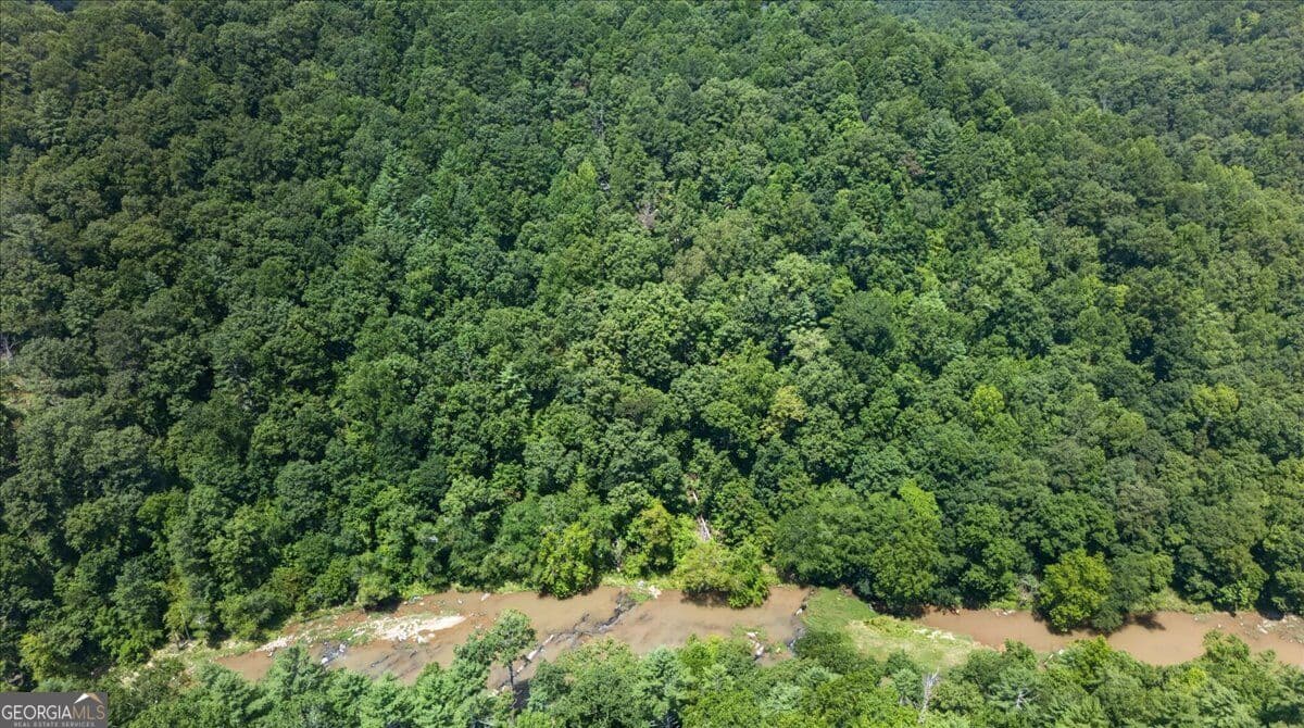 residential lot for sale at 0 Elk Trail, Talking Rock, GA 30175 — photo 7