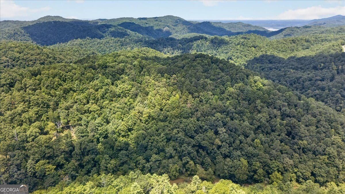 residential lot for sale at 0 Elk Trail, Talking Rock, GA 30175 — photo 3