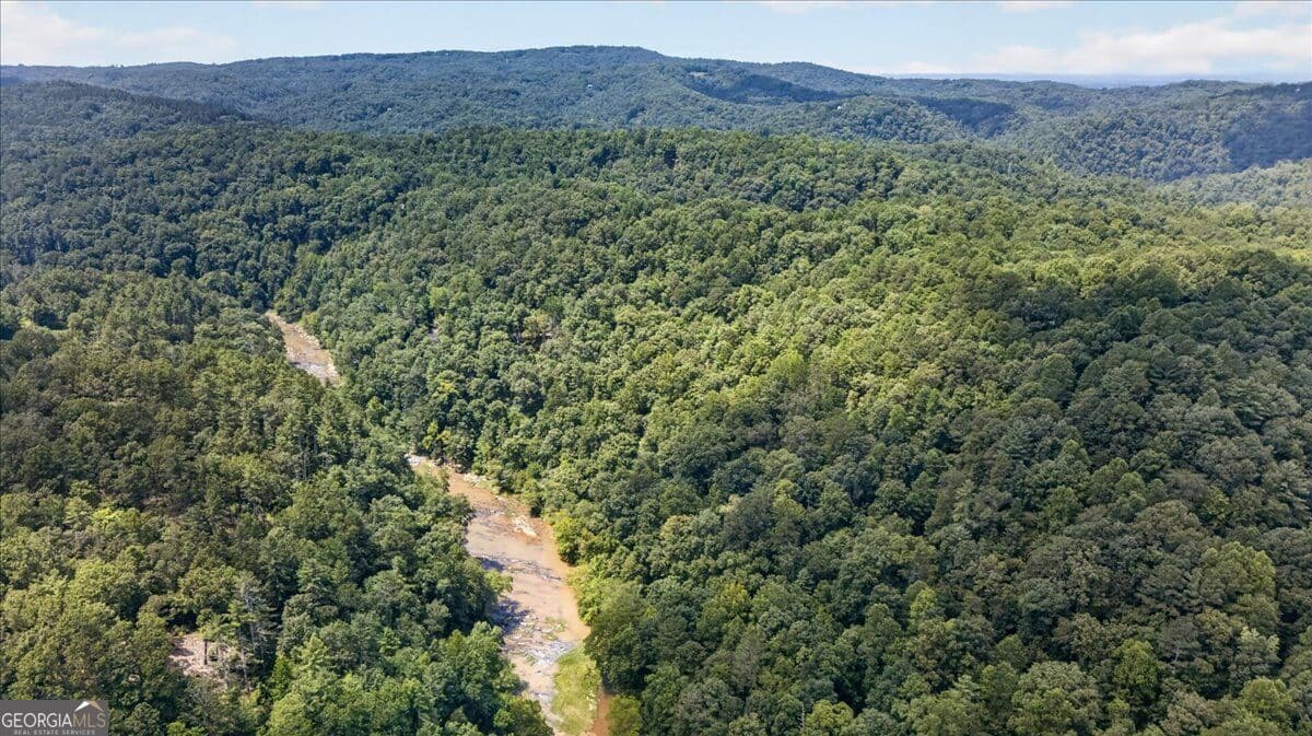 residential lot for sale at 0 Elk Trail, Talking Rock, GA 30175 — photo 5