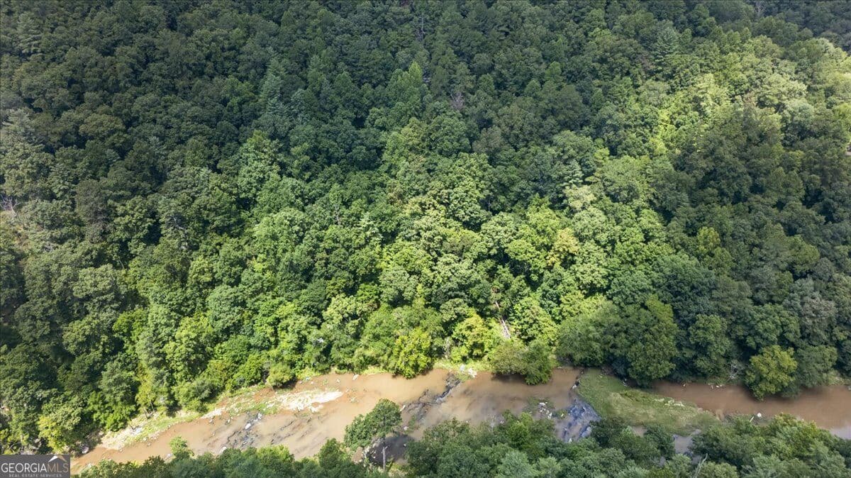 residential lot for sale at 0 Elk Trail, Talking Rock, GA 30175 — photo 9