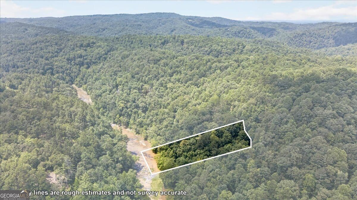 residential lot for sale at 0 Elk Trail, Talking Rock, GA 30175 — photo 4