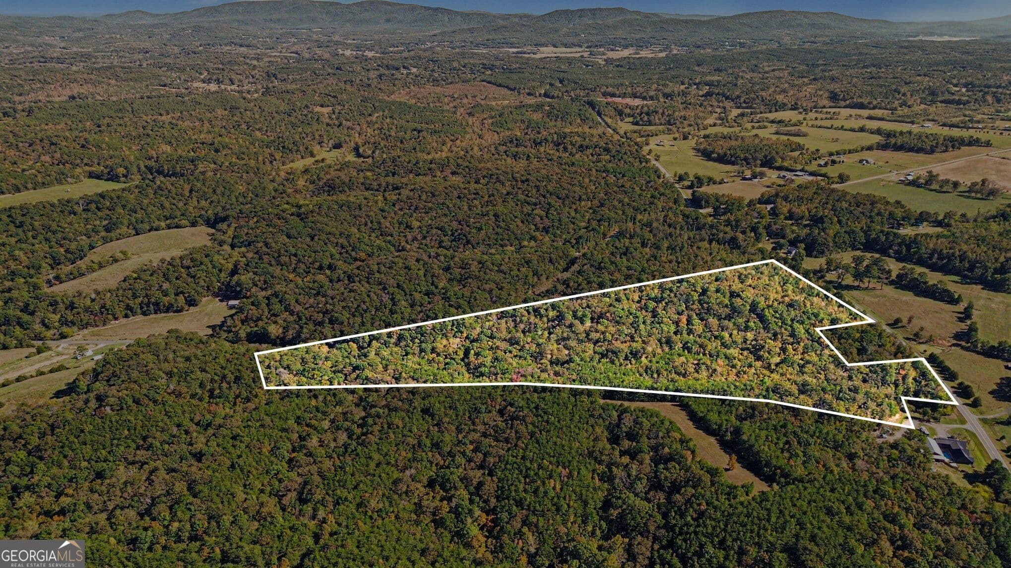 unimproved land for sale at 0 Highway 140, Rydal, GA 30171 — photo 2