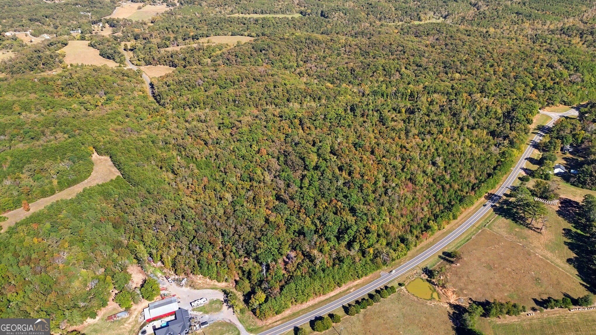 unimproved land for sale at 0 Highway 140, Rydal, GA 30171 — photo 6