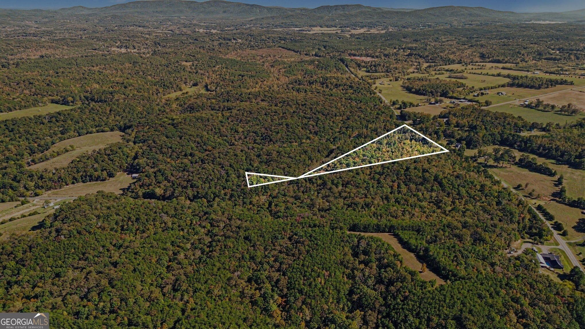 unimproved land for sale at 0 Highway 140, Rydal, GA 30171 — photo 3