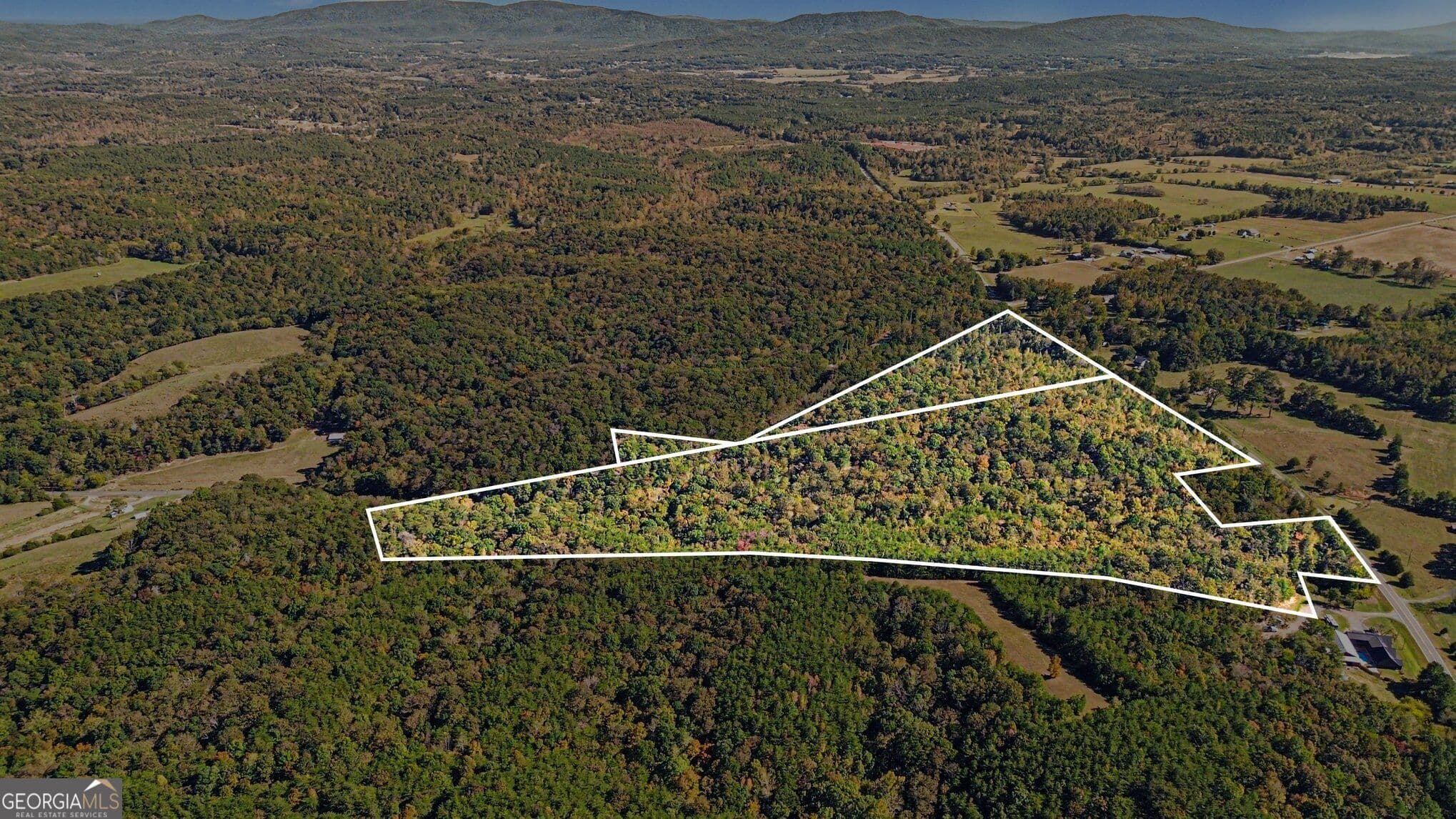 unimproved land for sale at 0 Highway 140, Rydal, GA 30171 — photo 1 of 18