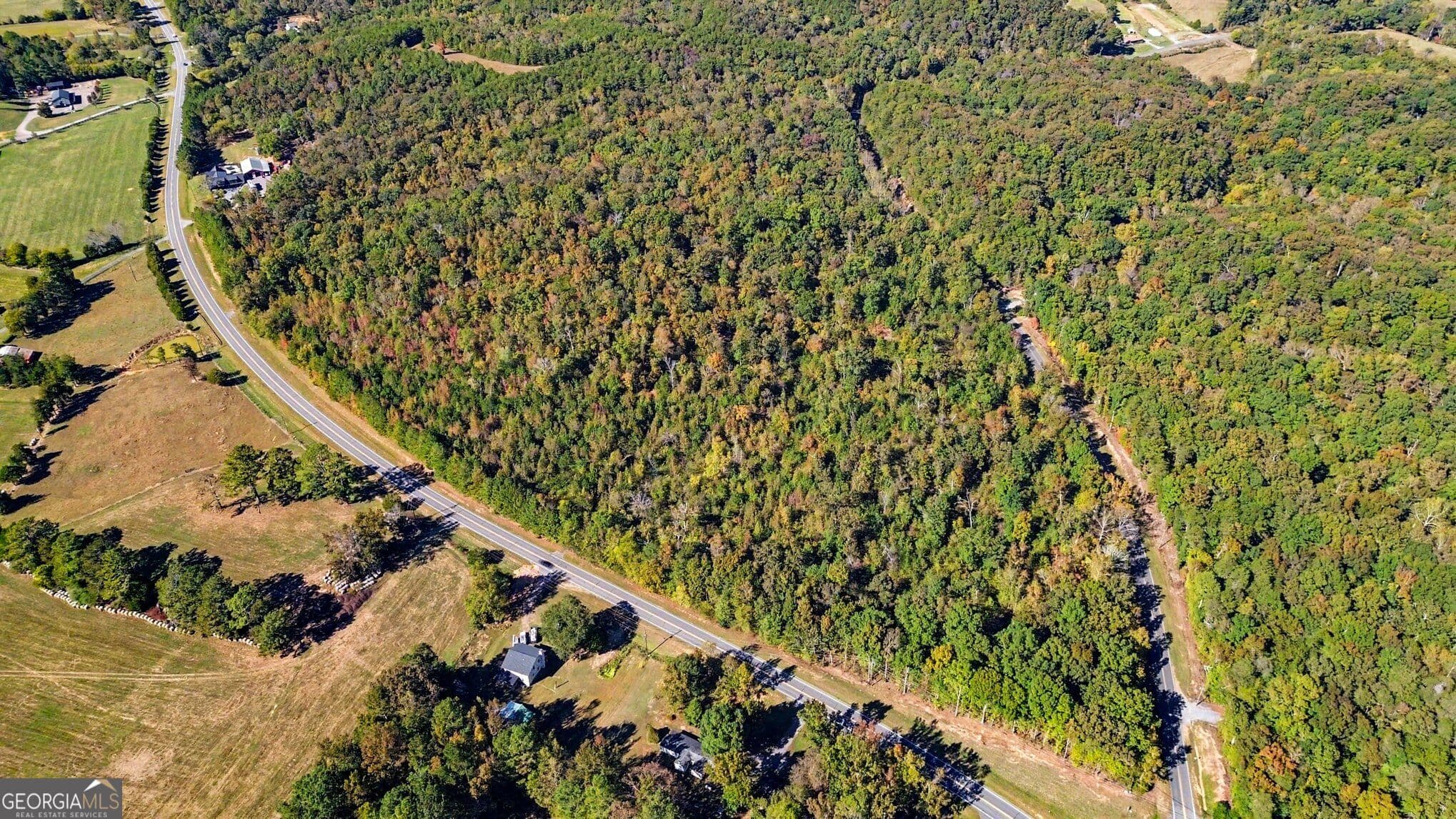 unimproved land for sale at 0 Highway 140, Rydal, GA 30171 — photo 5