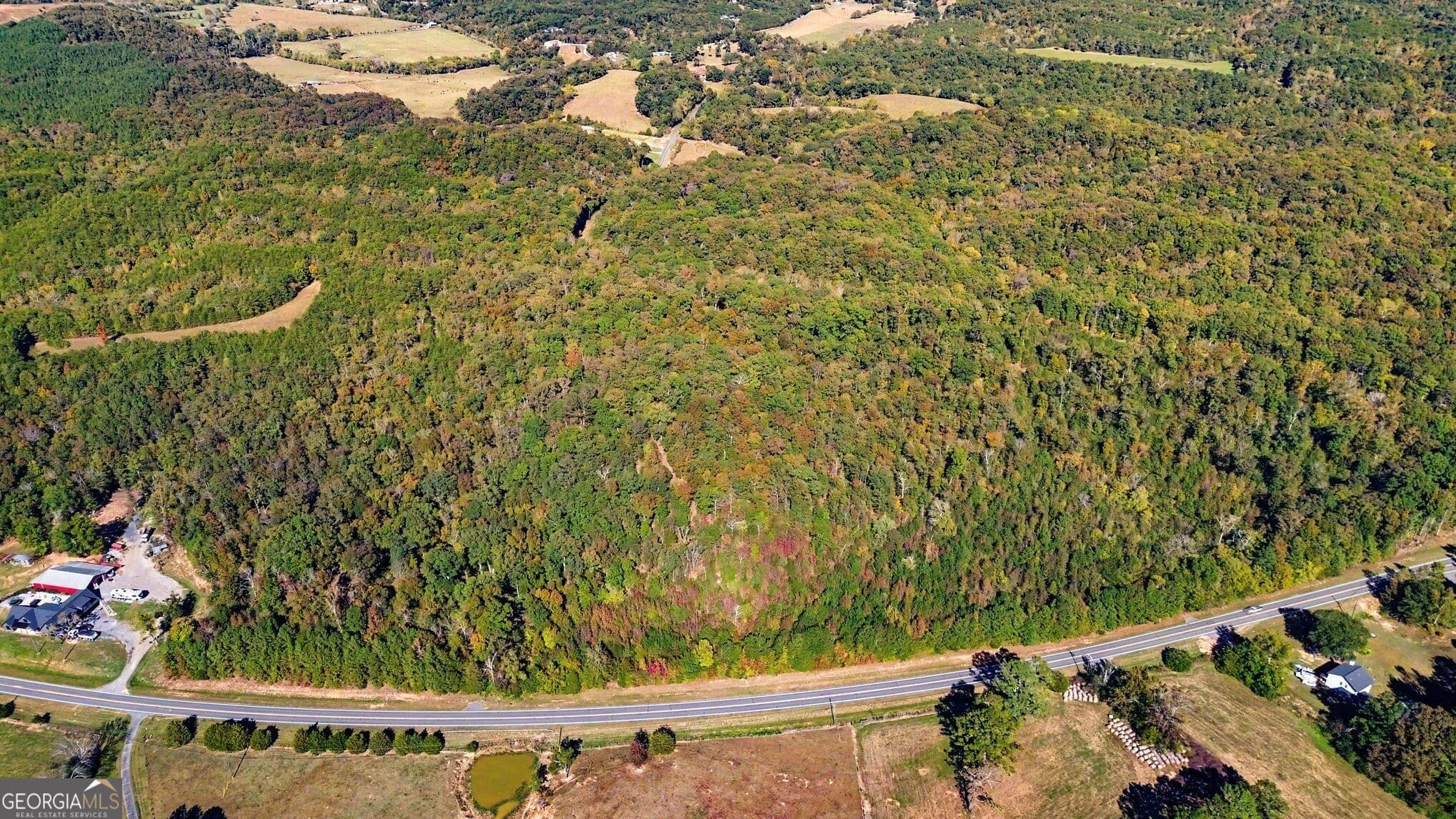 unimproved land for sale at 0 Highway 140, Rydal, GA 30171 — photo 9