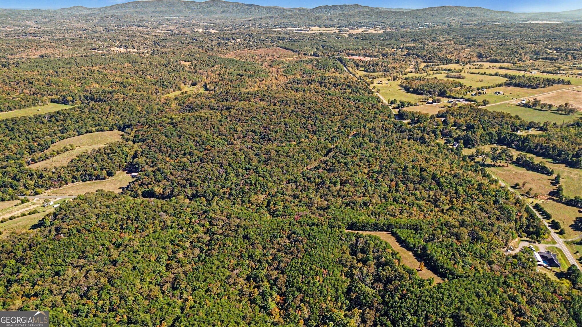 unimproved land for sale at 0 Highway 140, Rydal, GA 30171 — photo 10