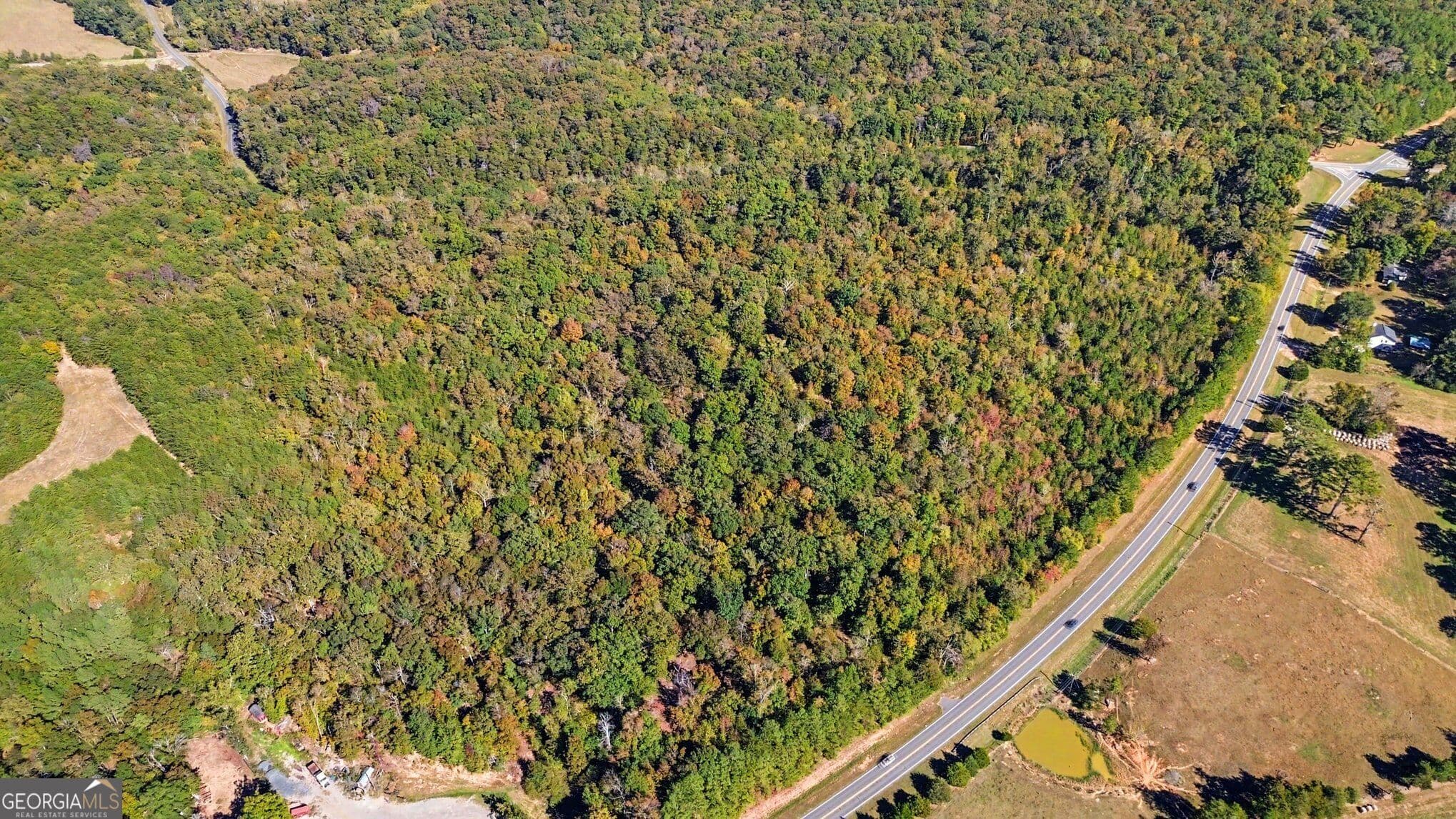 unimproved land for sale at 0 Highway 140, Rydal, GA 30171 — photo 4