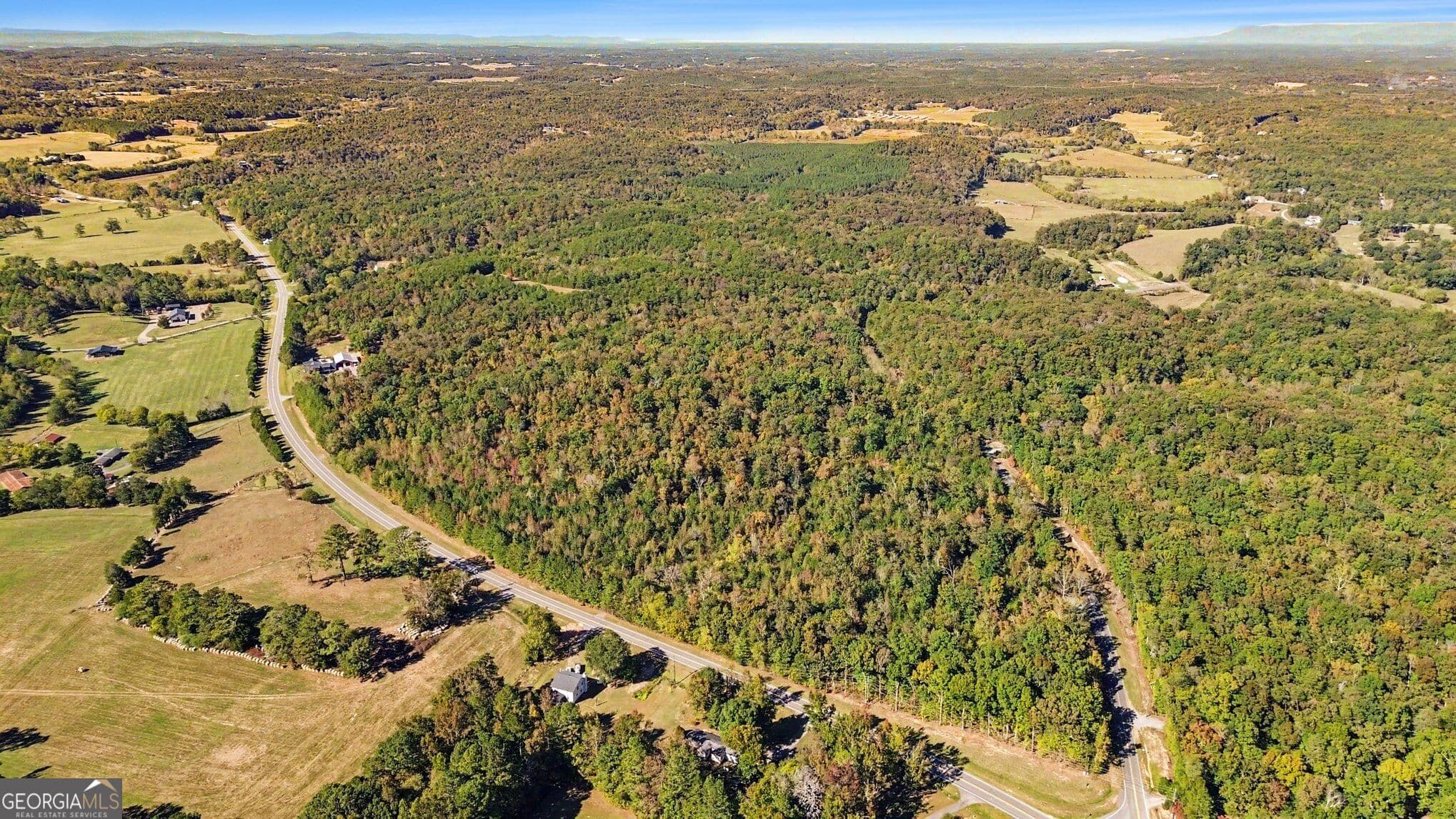 unimproved land for sale at 0 Highway 140, Rydal, GA 30171 — photo 8